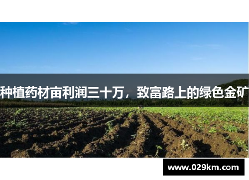 种植药材亩利润三十万，致富路上的绿色金矿